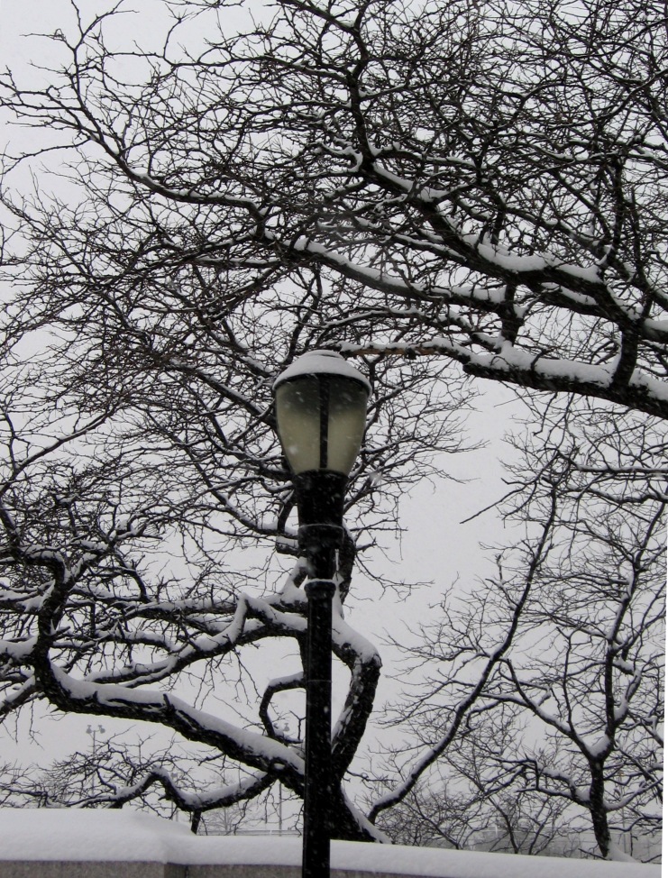 winter-lamp